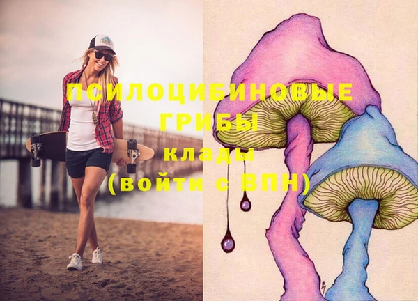 MDMA Premium VHQ Козельск