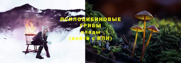 эйфоретик Козловка