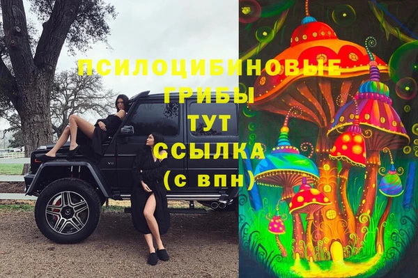 эйфоретик Козловка
