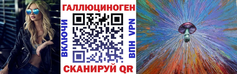 закладка Невинномысск Псилоцибиновые грибы Cubensis