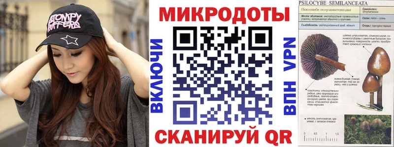 Псилоцибиновые грибы Psilocybe Невинномысск