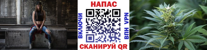 цена   Невинномысск  Бошки марихуана White Widow 